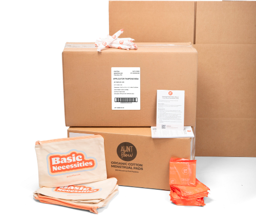 Cardboard boxes with 'Aunt Flow' and 'Basic Necessities' branding on a white background with pads and tampons